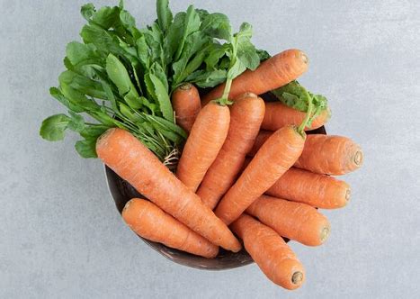 anatomi wortel  Wortel adalah salah satu asal vitamin A yang sangat baik